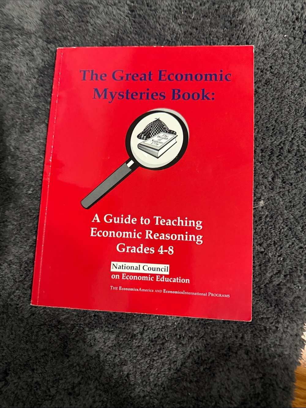 The Great Economic Mysteries Book - Red Educational Guide